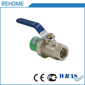 High Quality PPR Single End Valve